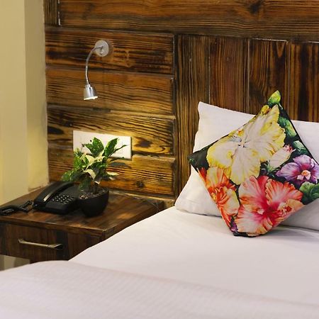 Nirvana Lodge And Lounge ムスーリー エクステリア 写真