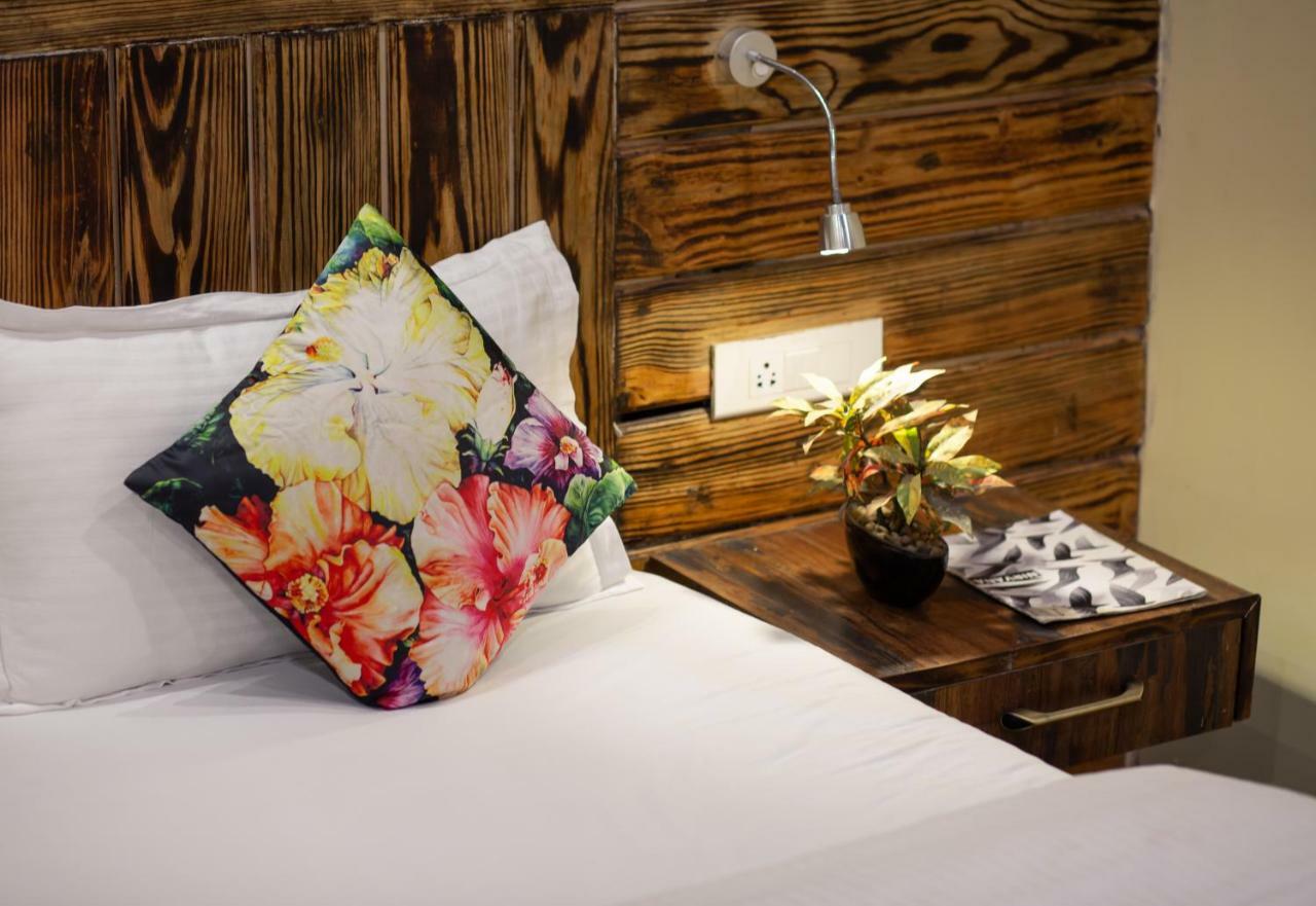 Nirvana Lodge And Lounge ムスーリー エクステリア 写真